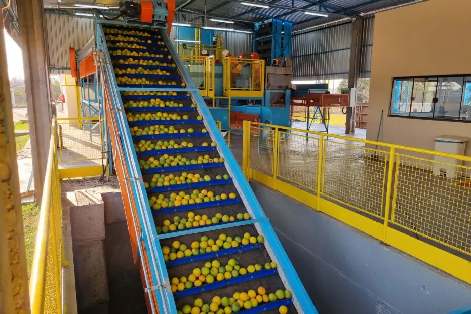 Trump isenta do tarifaço o suco de laranja, produto relevante para a economia de Paranavaí