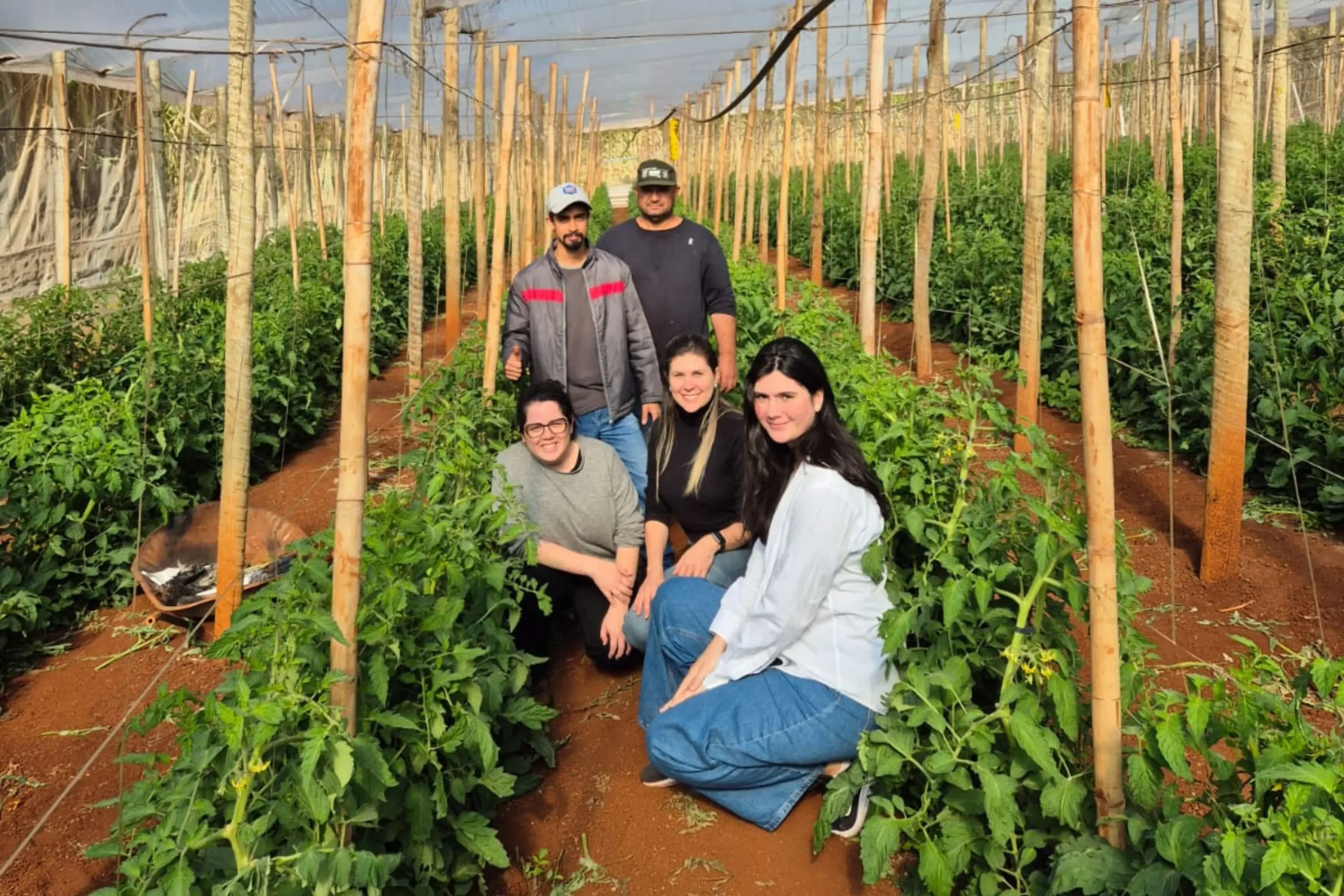Inicia nova fase do programa que transforma pesquisas em novos produtos