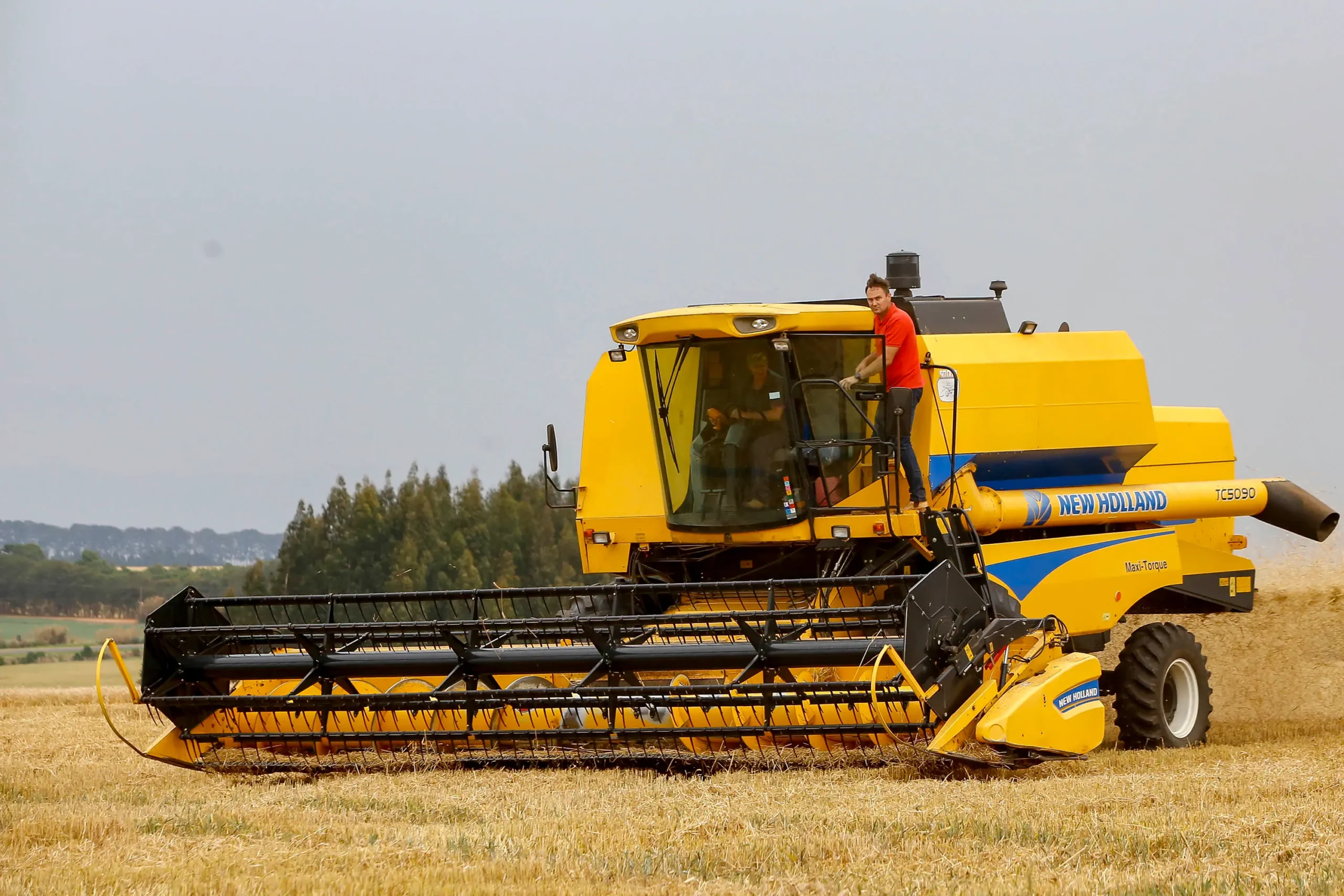Salários da agropecuária do Paraná crescem e superam em 58% a média nacional
