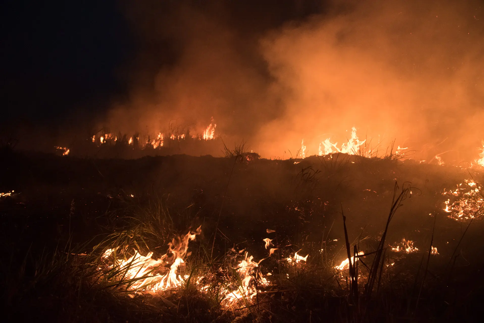 Corpo de Bombeiros reforça alerta: período crítico para incêndios ambientais