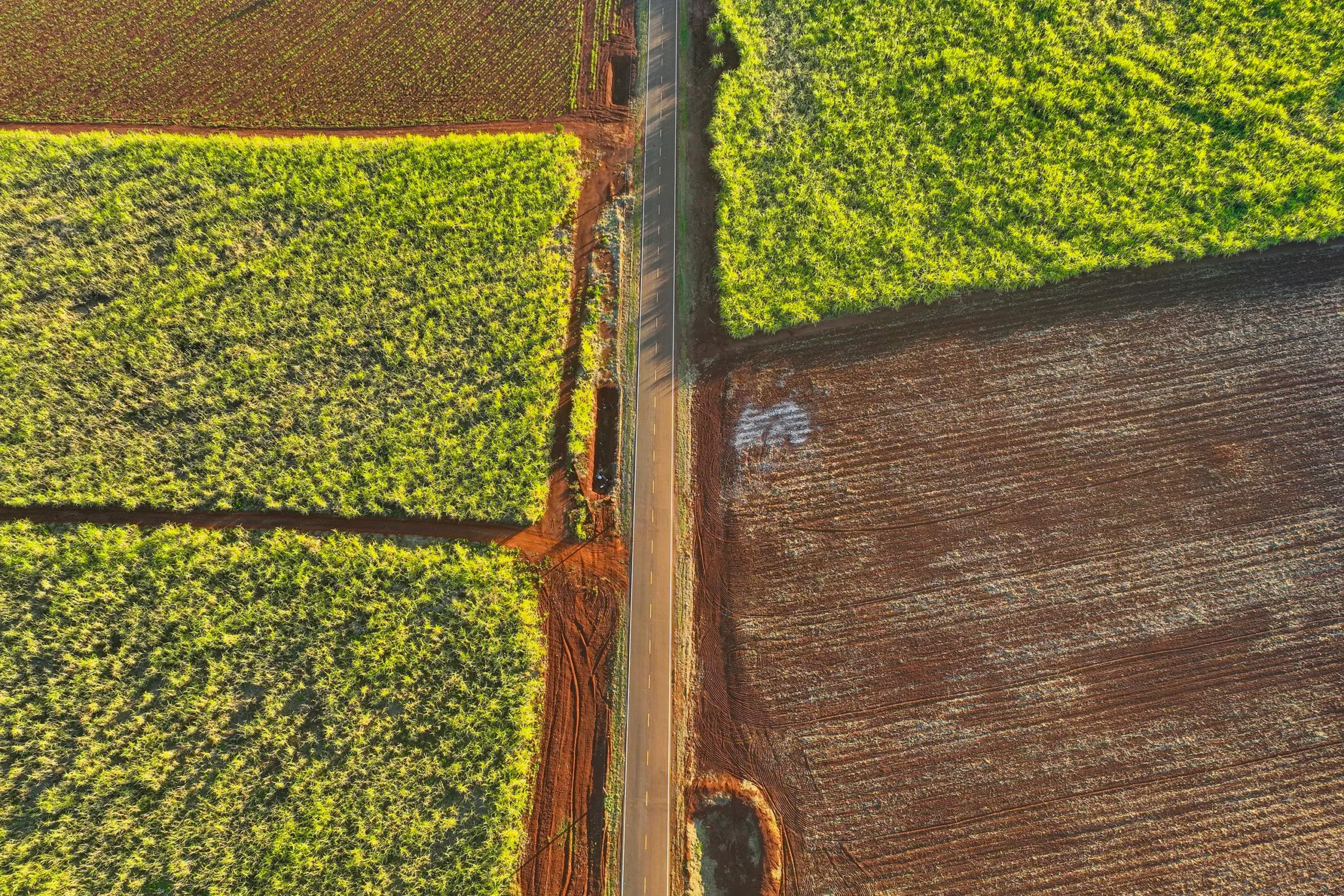 Paraná alcança melhor condição das rodovias dos últimos 23 anos