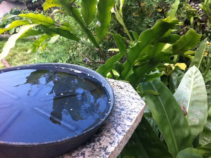 Secretaria de Saúde atualiza boletim epidemiológico