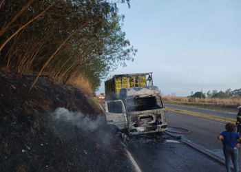 Incêndio atinge caminhão carregado de frangos na BR-376 em Alto Paraná