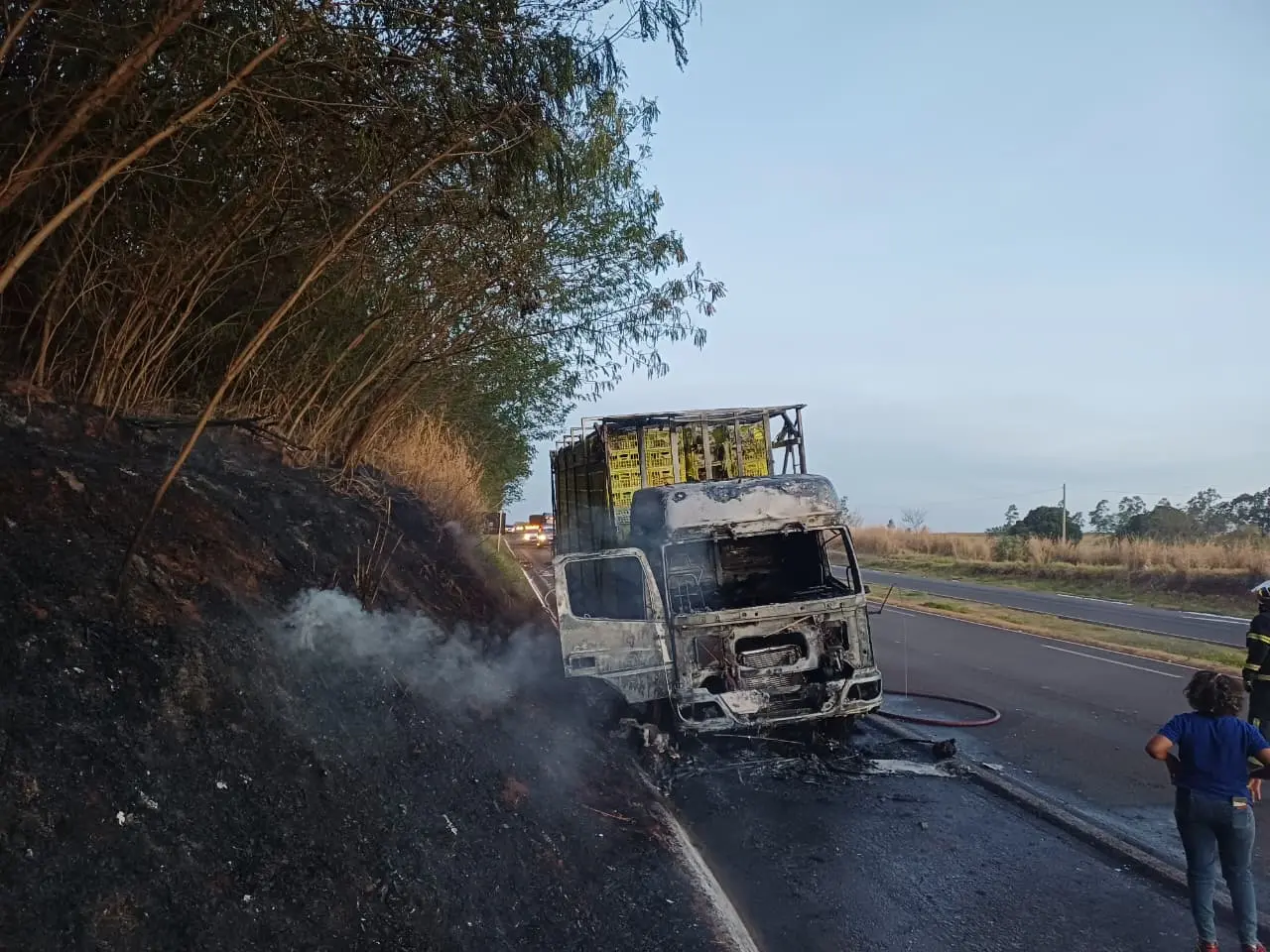 Incêndio atinge caminhão carregado de frangos na BR-376 em Alto Paraná