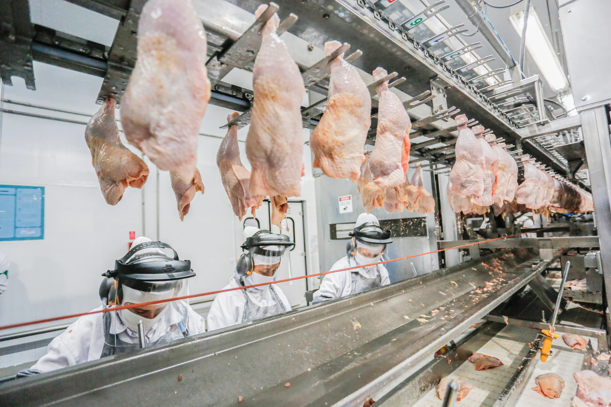 Produção de carne bovina, de frango e suína deve ser recorde