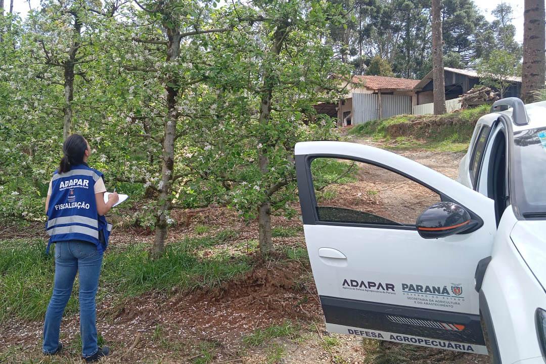 Adapar anuncia concurso público com salários de até R$ 8,4 mil