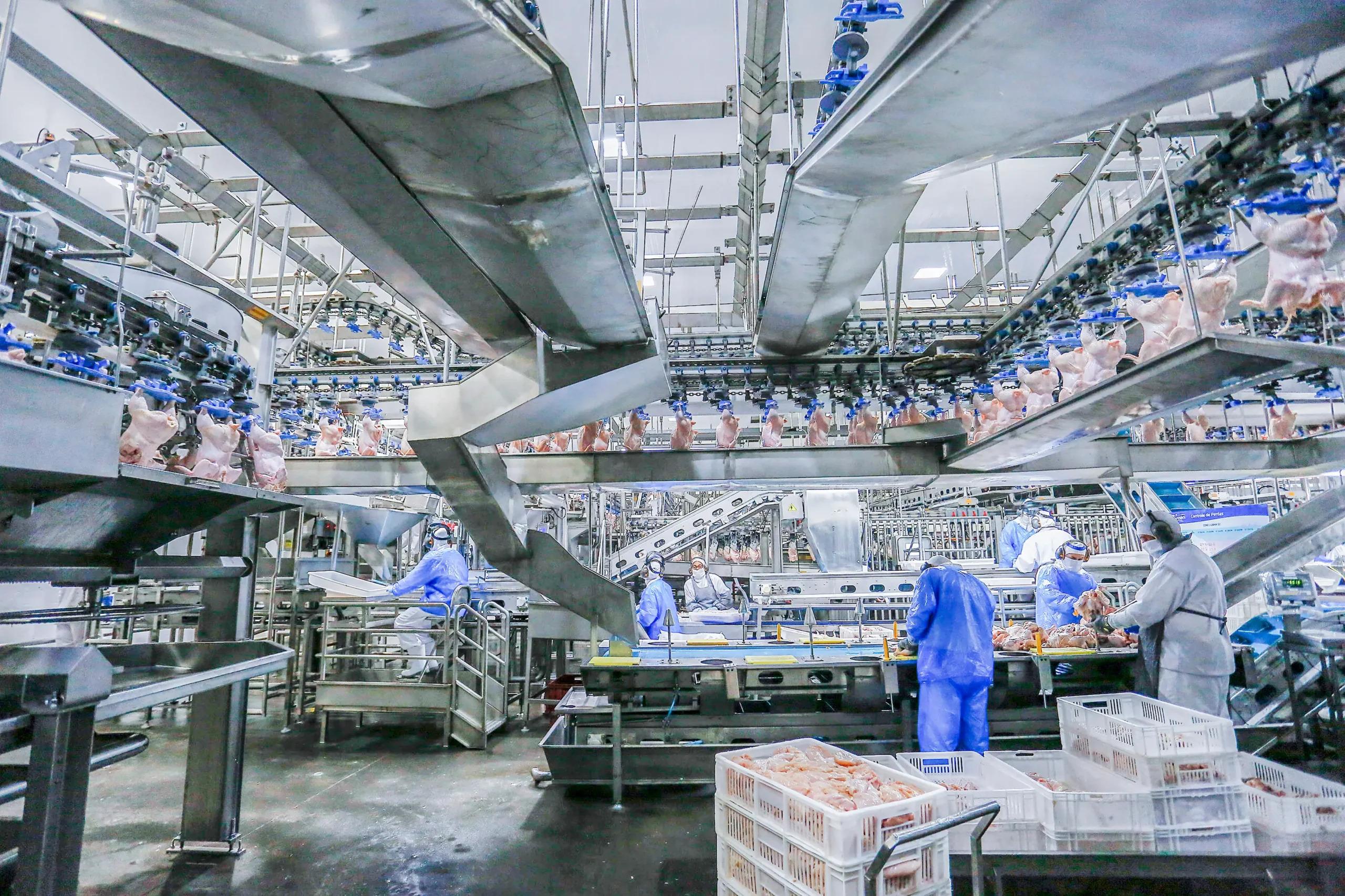 85% das cidades paranaenses registram saldo positivo de empregos em 2025