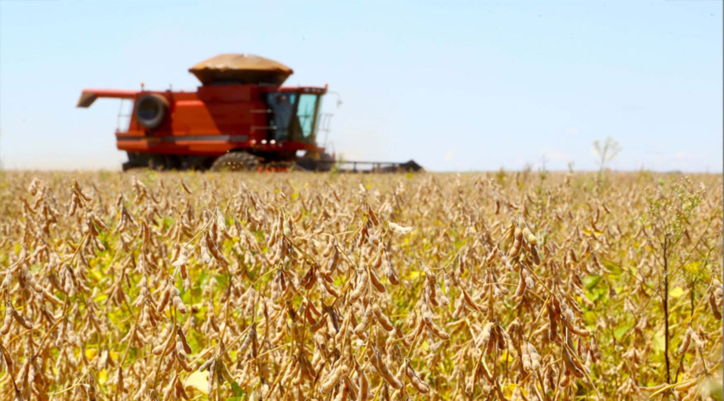 Primeiro levantamento aponta para colheita de 354,7 milhões de toneladas de grãos