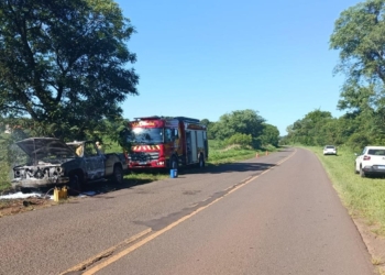 Caminhonete fica destruída após pegar fogo à margem da PR-492, em Tamboara