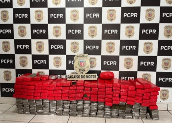 Polícia Civil apreende 172 kg de maconha em residência usada como depósito em Paraíso do Norte