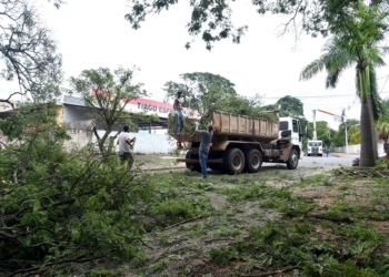 Depois da tempestade vem o trabalho: equipes ainda atuam para recuperar os danos do vendaval em Paranavaí