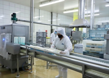 Taxa de desemprego no Paraná cai para 3,5%, a menor para um terceiro trimestre na história