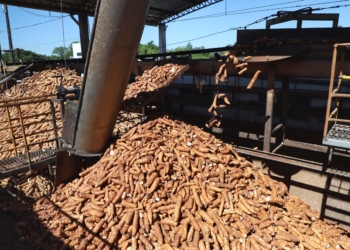 Fiman 2025 já movimenta Paranavaí e região antes mesmo da abertura oficial